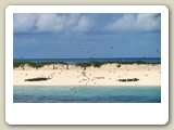 Sand- och korallrevet Michaelmas Cay i Stora Barriärrevet utanför Cairns