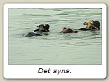 Det syns.