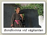 Bondkvinna vid vägkanten