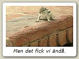 Men det fick vi ändå.