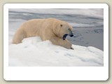 Här vilar jag ett tag. Gäsp...
