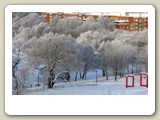 Lördagen från min balkong